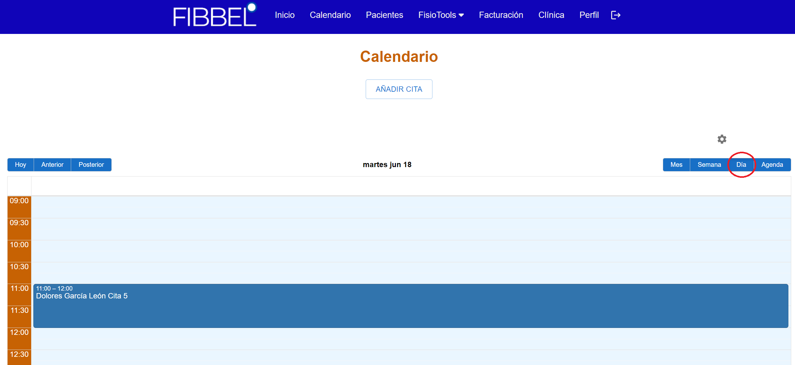 Vista del día en el calendario de Fibbel